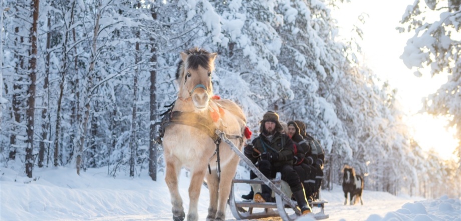 Apukka Horse Sleigh